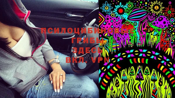 бошки Дмитриев