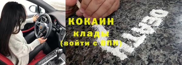 гидра Арсеньев