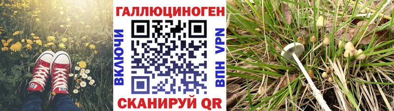 mega ссылки  Афипский  Псилоцибиновые грибы ЛСД 